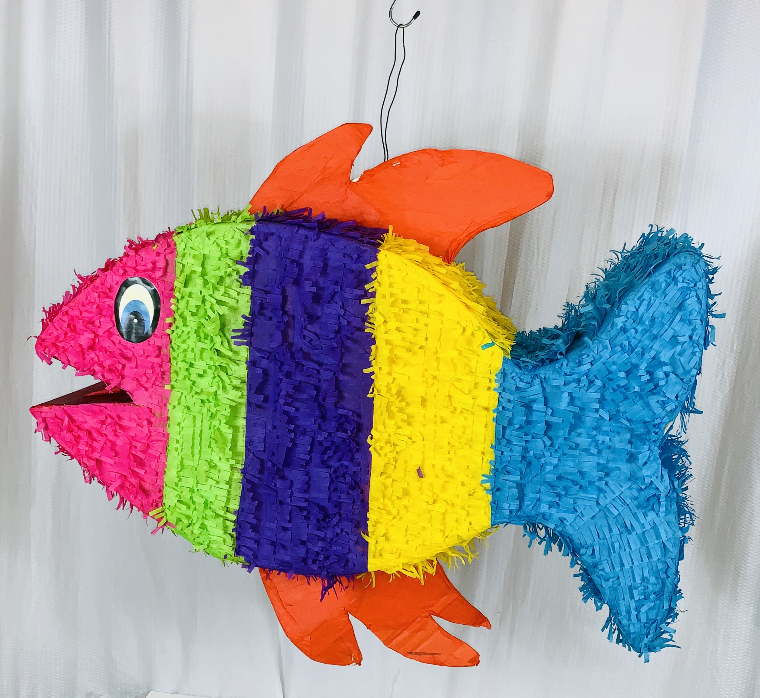 2D Colorful Fish 1 AN 01-57 – Party Piñatas Houston