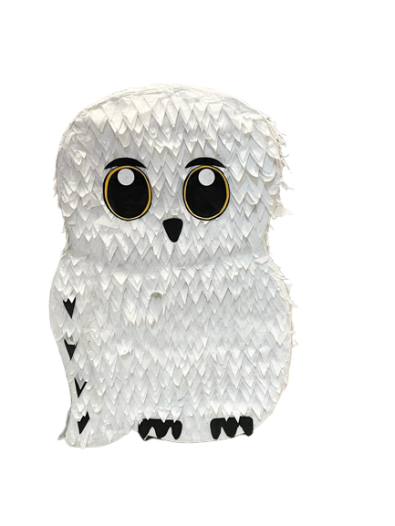 Harry Potter™ and Hedwig™ Bundle for Beginners